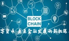 imo数字货币：未来金融发展的新机遇与挑战