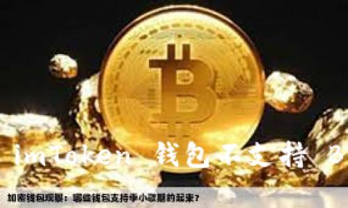 详细解析：为什么 imToken 钱包不支持 BNB 及其解决方案