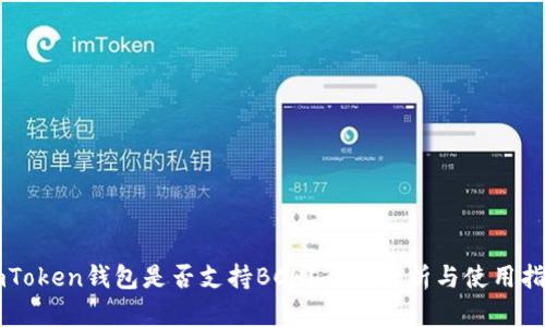 imToken钱包是否支持BCH？全面解析与使用指南