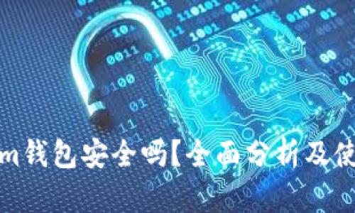 Tokenim钱包安全吗？全面分析及使用指南