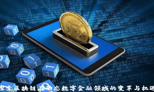 
探索区块链在动态数字金融领域的变革与机遇