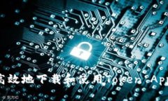 如何安全高效地下载和使