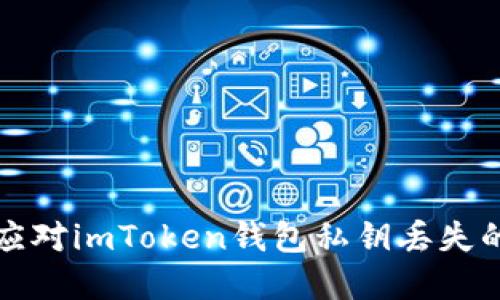  如何应对imToken钱包私钥丢失的困境？
