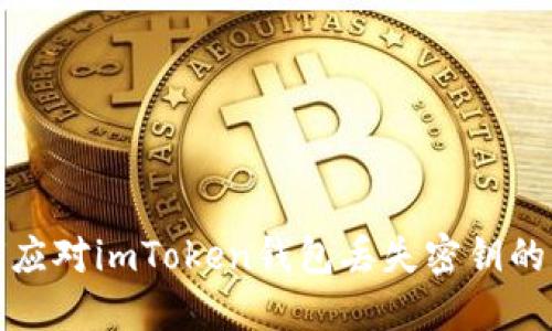 如何应对imToken钱包丢失密钥的危机